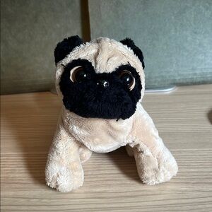 Lil kinz pug